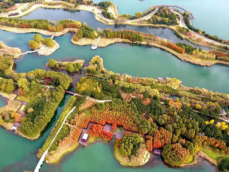 星空(中国)xingkong·官方网站-科技股份有限公司